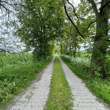 Tuunkiekje, Maisonettewohnung, Gulfhof, Kachelofen * Norden